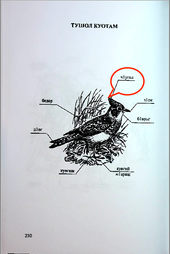 Снимок экрана 2020-03-17 в 11.07.04