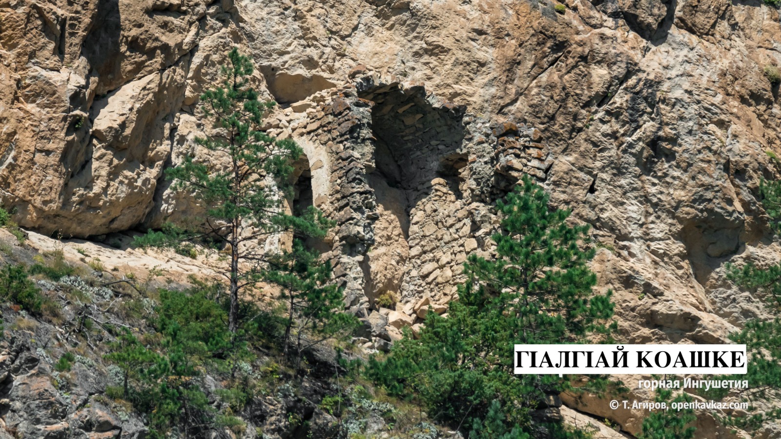 7d6af502-ff08-494d-9ecd-78b656fd54d2