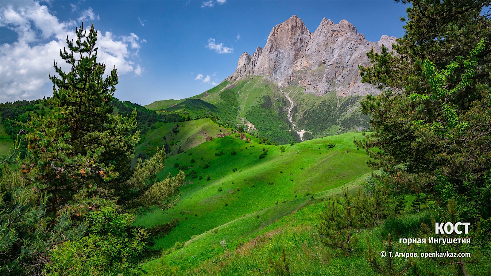 64d150ea-38ee-4cfc-8879-50ad182f0b3f